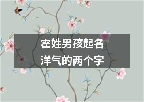 霍姓男孩起名洋气的两个字