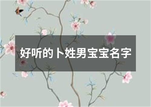 好听的卜姓男宝宝名字