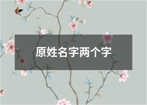 原姓名字两个字