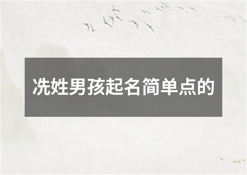 冼姓男孩起名简单点的