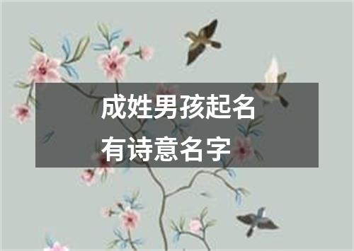 成姓男孩起名有诗意名字