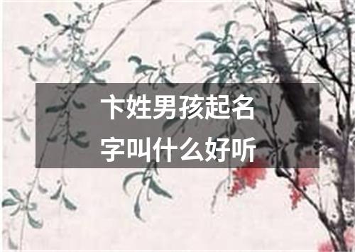 卞姓男孩起名字叫什么好听