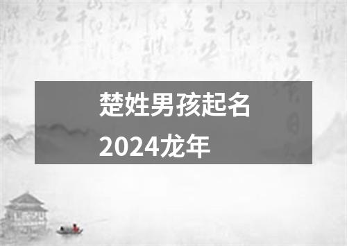 楚姓男孩起名2024龙年