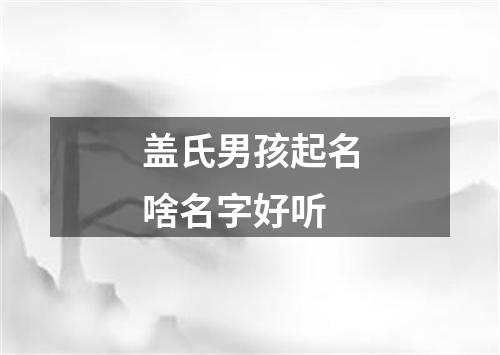 盖氏男孩起名啥名字好听