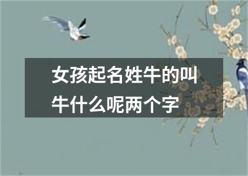 女孩起名姓牛的叫牛什么呢两个字