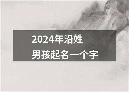 2024年沿姓男孩起名一个字