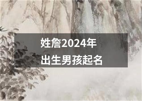 姓詹2024年出生男孩起名