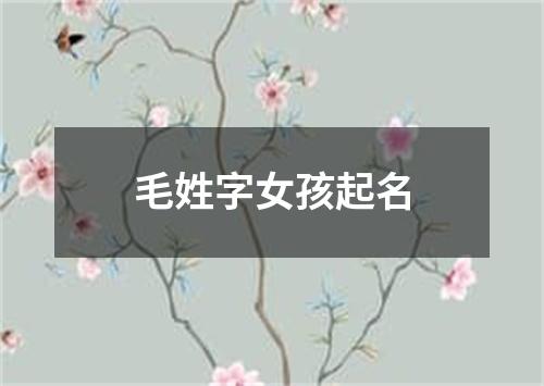 毛姓字女孩起名