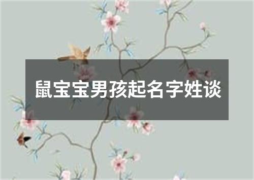 鼠宝宝男孩起名字姓谈