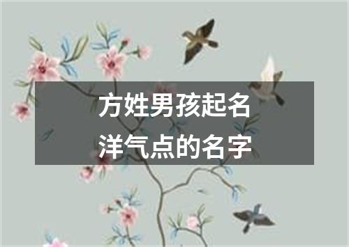 方姓男孩起名洋气点的名字