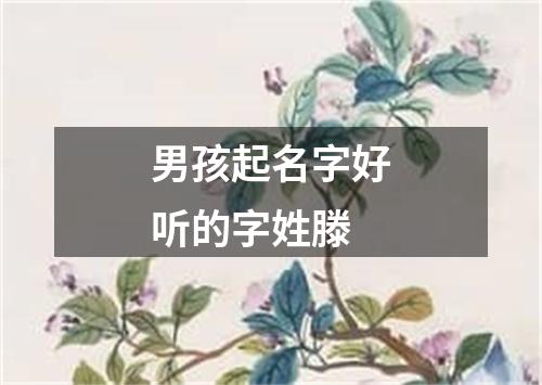 男孩起名字好听的字姓滕