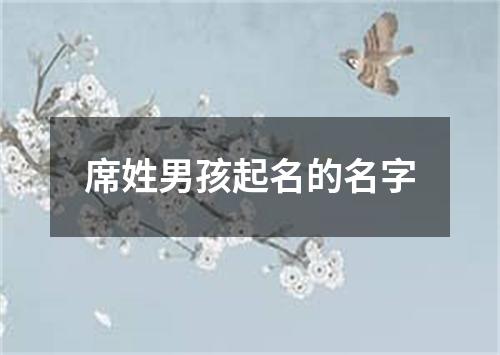 席姓男孩起名的名字