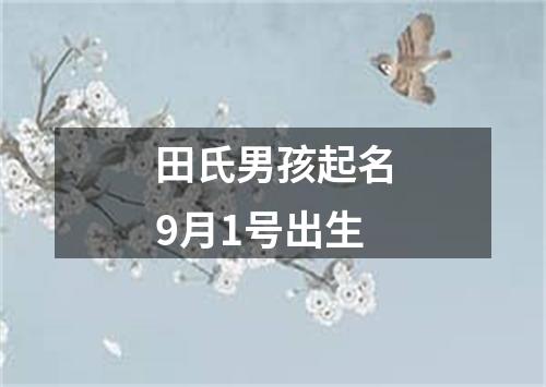 田氏男孩起名9月1号出生