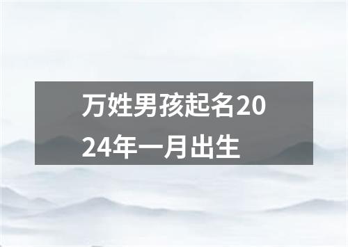 万姓男孩起名2024年一月出生