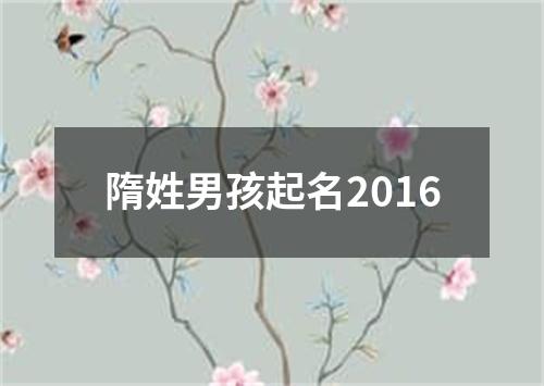 隋姓男孩起名2016