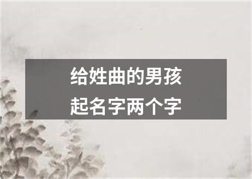 给姓曲的男孩起名字两个字