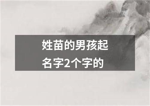 姓苗的男孩起名字2个字的