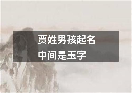 贾姓男孩起名中间是玉字