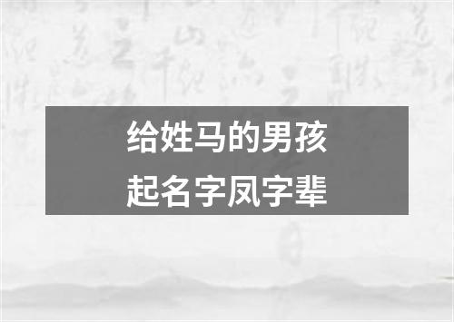 给姓马的男孩起名字凤字辈