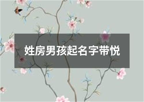 姓房男孩起名字带悦