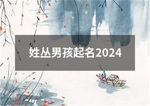 姓丛男孩起名2024