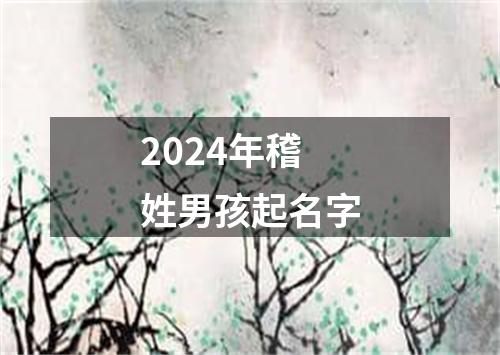 2024年稽姓男孩起名字