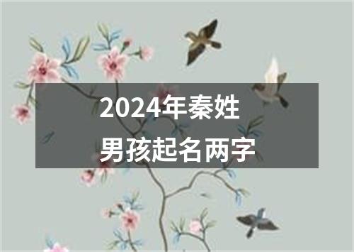 2024年秦姓男孩起名两字