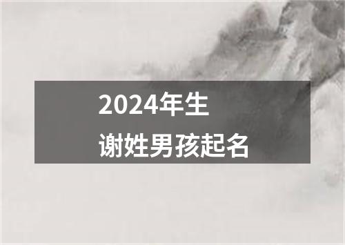 2024年生谢姓男孩起名