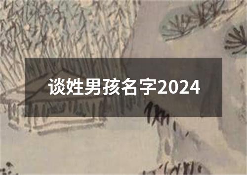 谈姓男孩名字2024