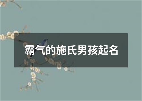 霸气的施氏男孩起名