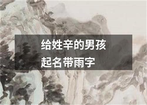 给姓辛的男孩起名带雨字