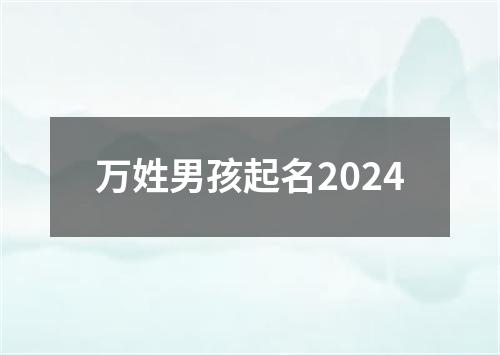 万姓男孩起名2024