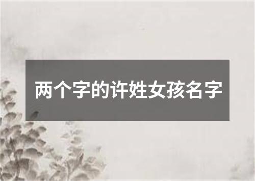 两个字的许姓女孩名字