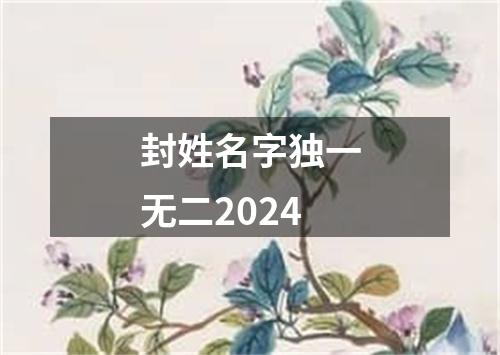 封姓名字独一无二2024