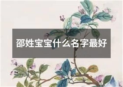 邵姓宝宝什么名字最好