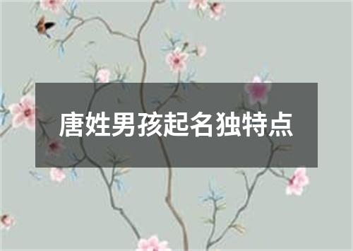 唐姓男孩起名独特点