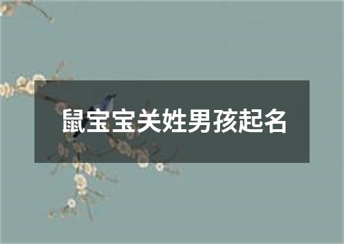 鼠宝宝关姓男孩起名