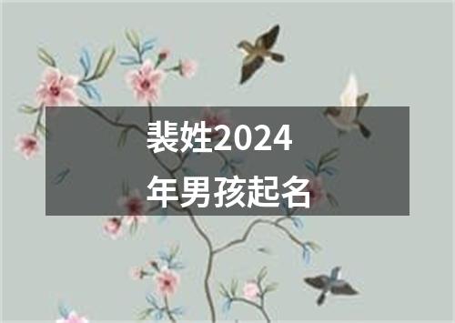 裴姓2024年男孩起名