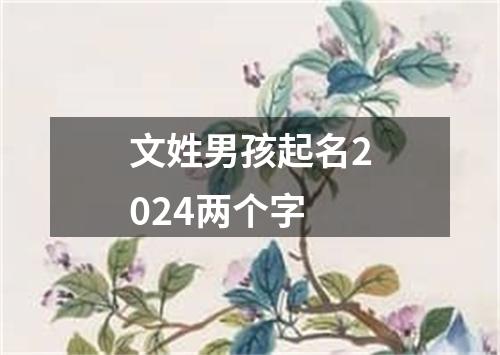 文姓男孩起名2024两个字