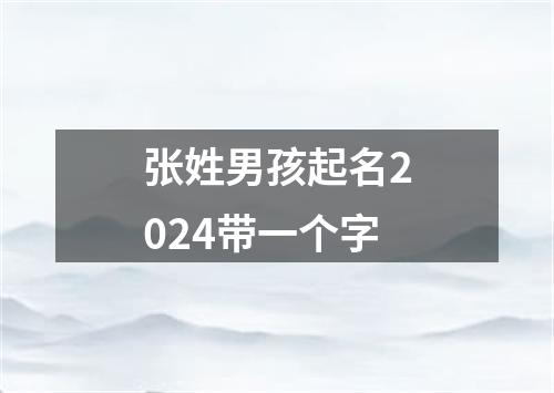 张姓男孩起名2024带一个字