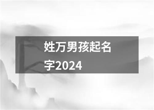 姓万男孩起名字2024