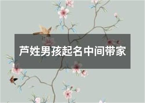 芦姓男孩起名中间带家