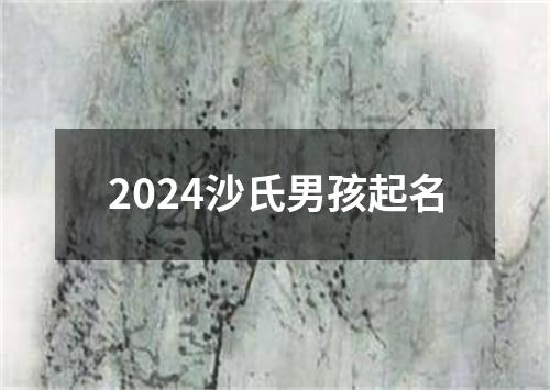 2024沙氏男孩起名