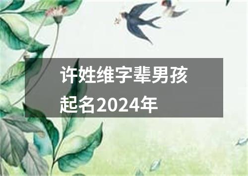 许姓维字辈男孩起名2024年