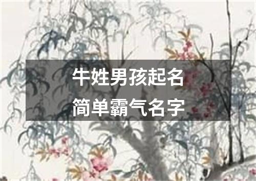 牛姓男孩起名简单霸气名字