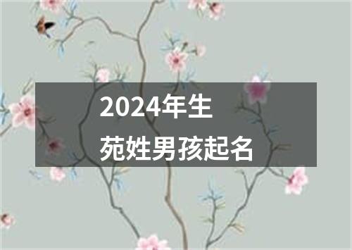 2024年生苑姓男孩起名