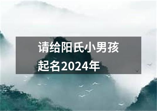 请给阳氏小男孩起名2024年