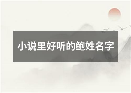 小说里好听的鲍姓名字