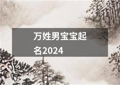 万姓男宝宝起名2024