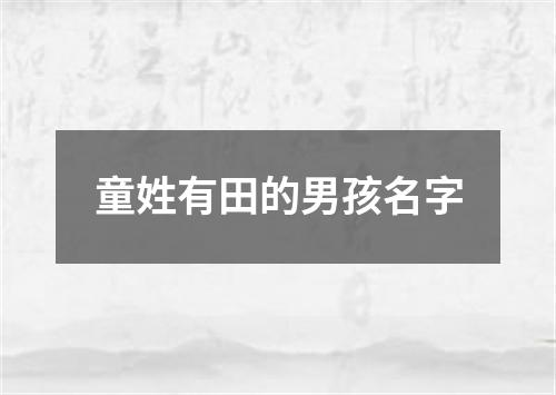 童姓有田的男孩名字